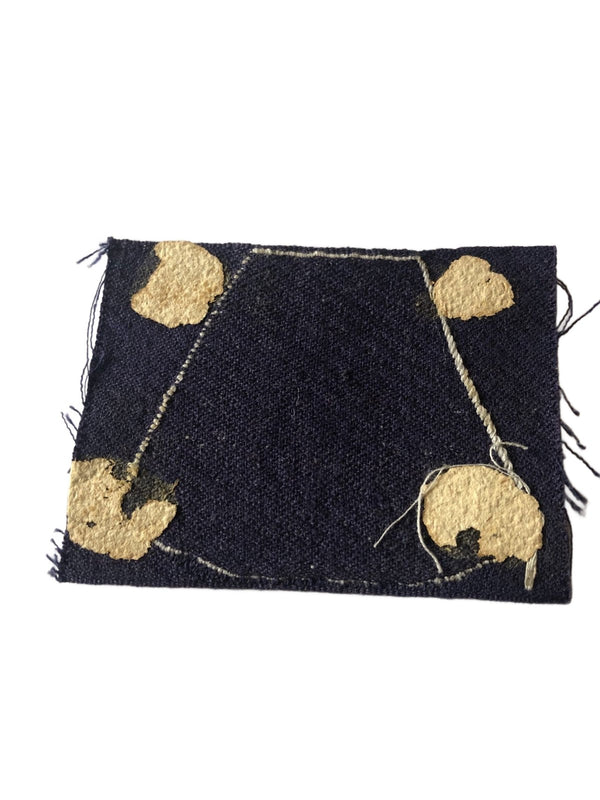 Manche Lion Army Air Force hover image