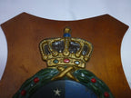 Uniek wandschild 306 Squadron KLU