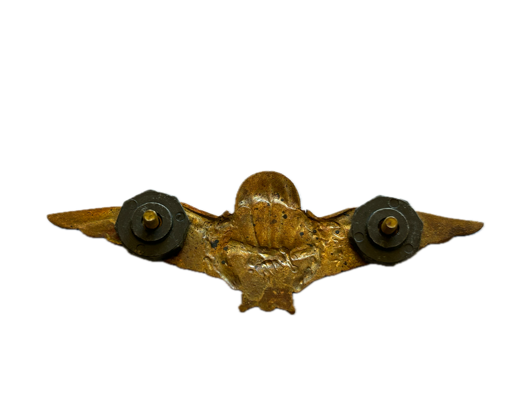 Bronzen Para baret wing
