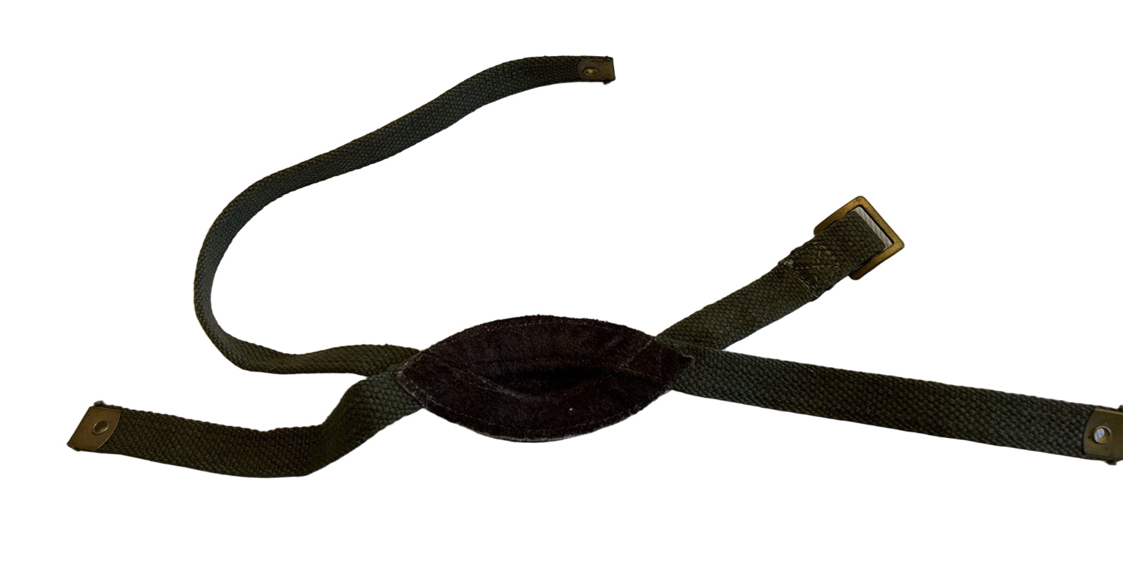 Engels model  Para chinstrap