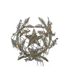 Museumaanmaak Scherpschutter 1ste klas