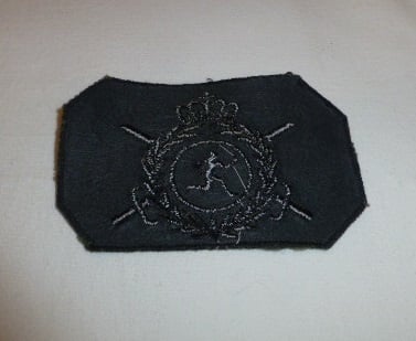 Emblème de manche Instructeur de sport (uniforme de combat) hover image