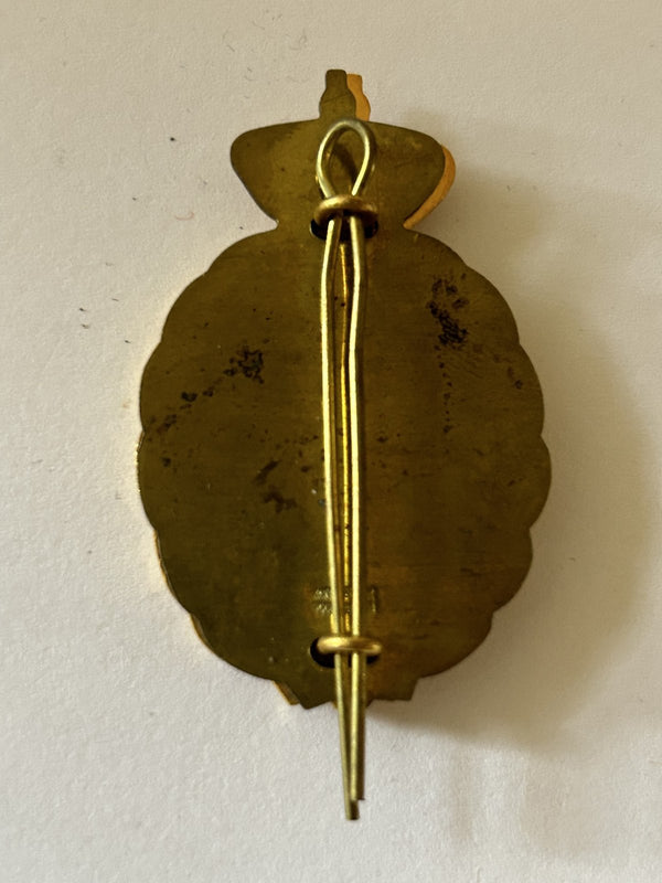 Borstembleem Arts uit de 50-60er jaren hover image