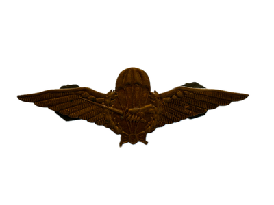 Bronzen Para baret wing Reünieaanmaak