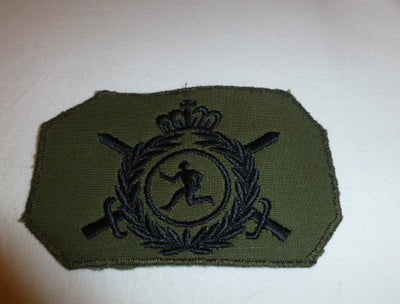 Emblème de manche Instructeur de sport (uniforme de combat)