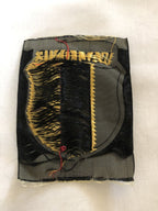 Freiwilligen Sturmbrigade der Wallonien