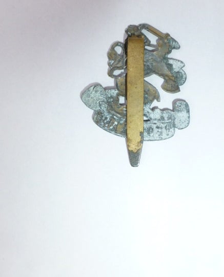 Pet- baret  leeuw hover image