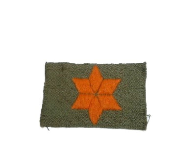 Étoile volontaire Princesse Irène Brigade WO2