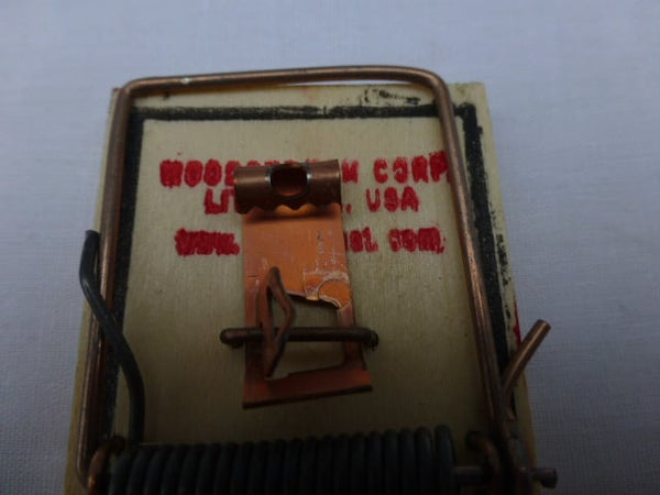 Piège à souris hover image