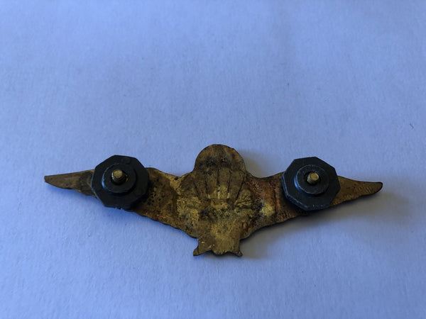 Bronzen Para wing hover image