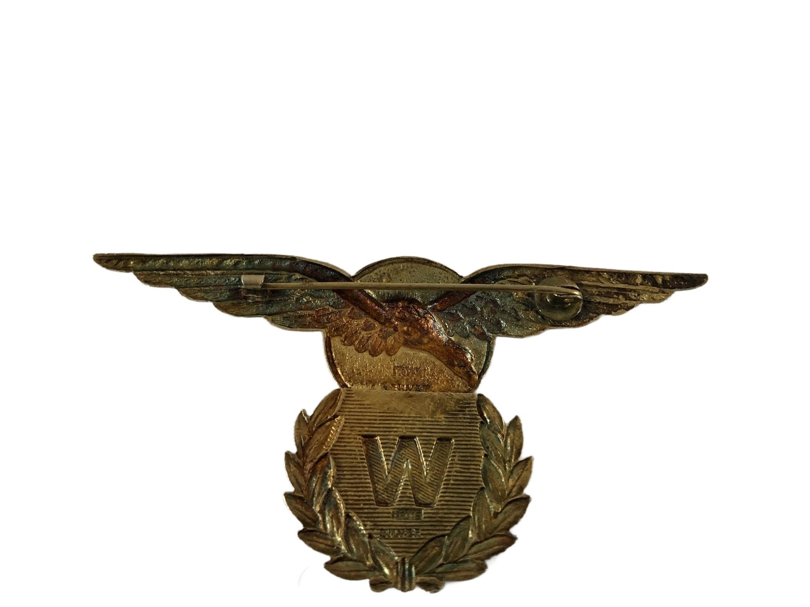 Zeldzame Vlieger Waarnemer wing