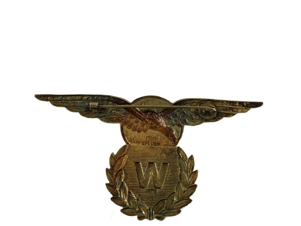 Zeldzame Vlieger Waarnemer wing hover image