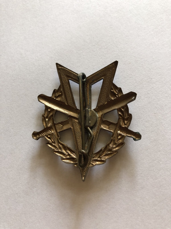 MLV speld hover image