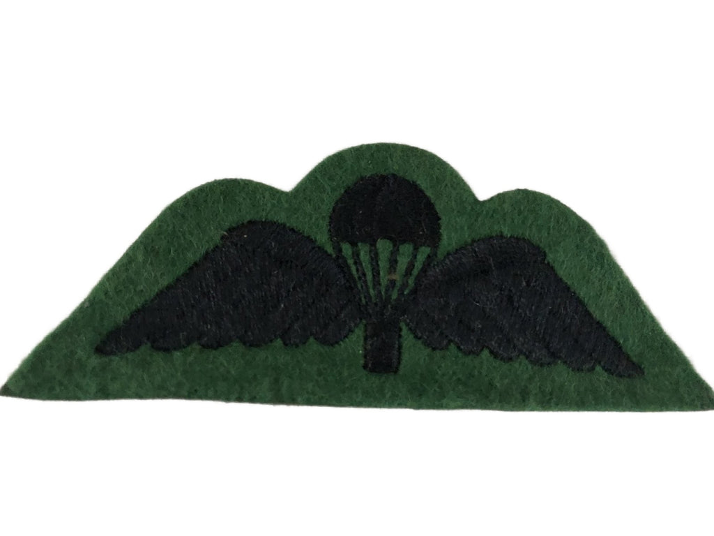 Para wing Cameronians