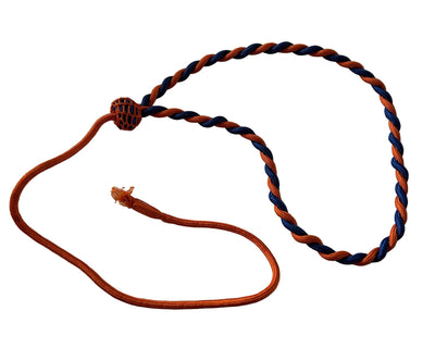 Prinses Irene erekoord