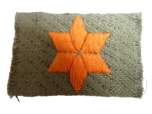 Étoile volontaire Princesse Irène Brigade WO2 hover image